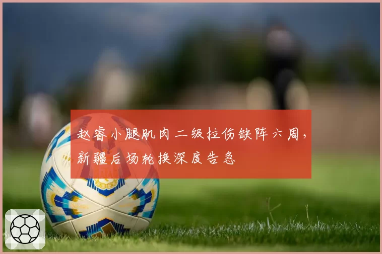 赵睿小腿肌肉二级拉伤缺阵六周,新疆后场轮换深度告急